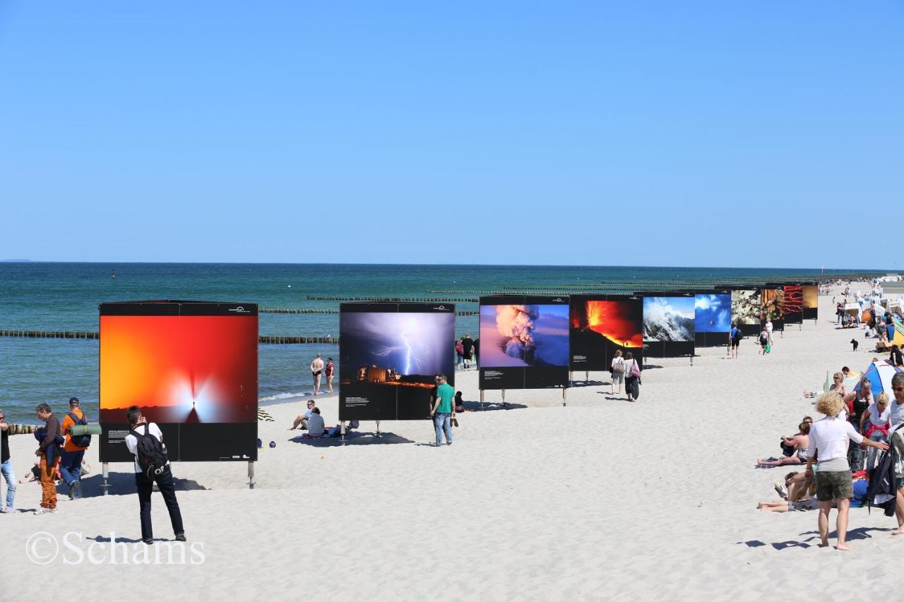 Ostseelagune Zingst, Exklusive Dhh, Strandnah, Sauna, Kamin, 3 Sz, 2 Baeder, Glasfaser, Haustierfrei, Garten Mit Suedterrasse, E-Ladesaeule, 2 Stellplaetze, Strandkorb, Fahrradschuppen, Waschmaschine, Trockner, Nichtraucher エクステリア 写真