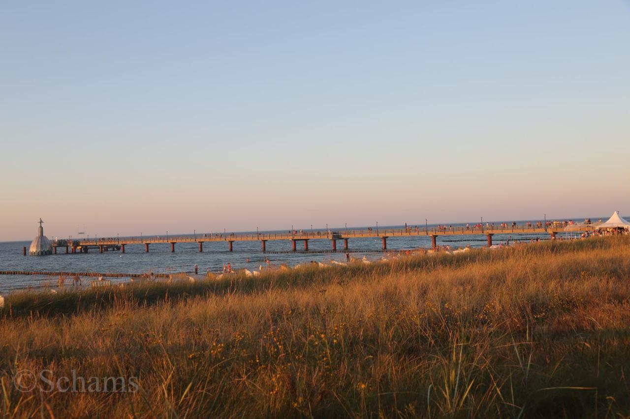 Ostseelagune Zingst, Exklusive Dhh, Strandnah, Sauna, Kamin, 3 Sz, 2 Baeder, Glasfaser, Haustierfrei, Garten Mit Suedterrasse, E-Ladesaeule, 2 Stellplaetze, Strandkorb, Fahrradschuppen, Waschmaschine, Trockner, Nichtraucher エクステリア 写真