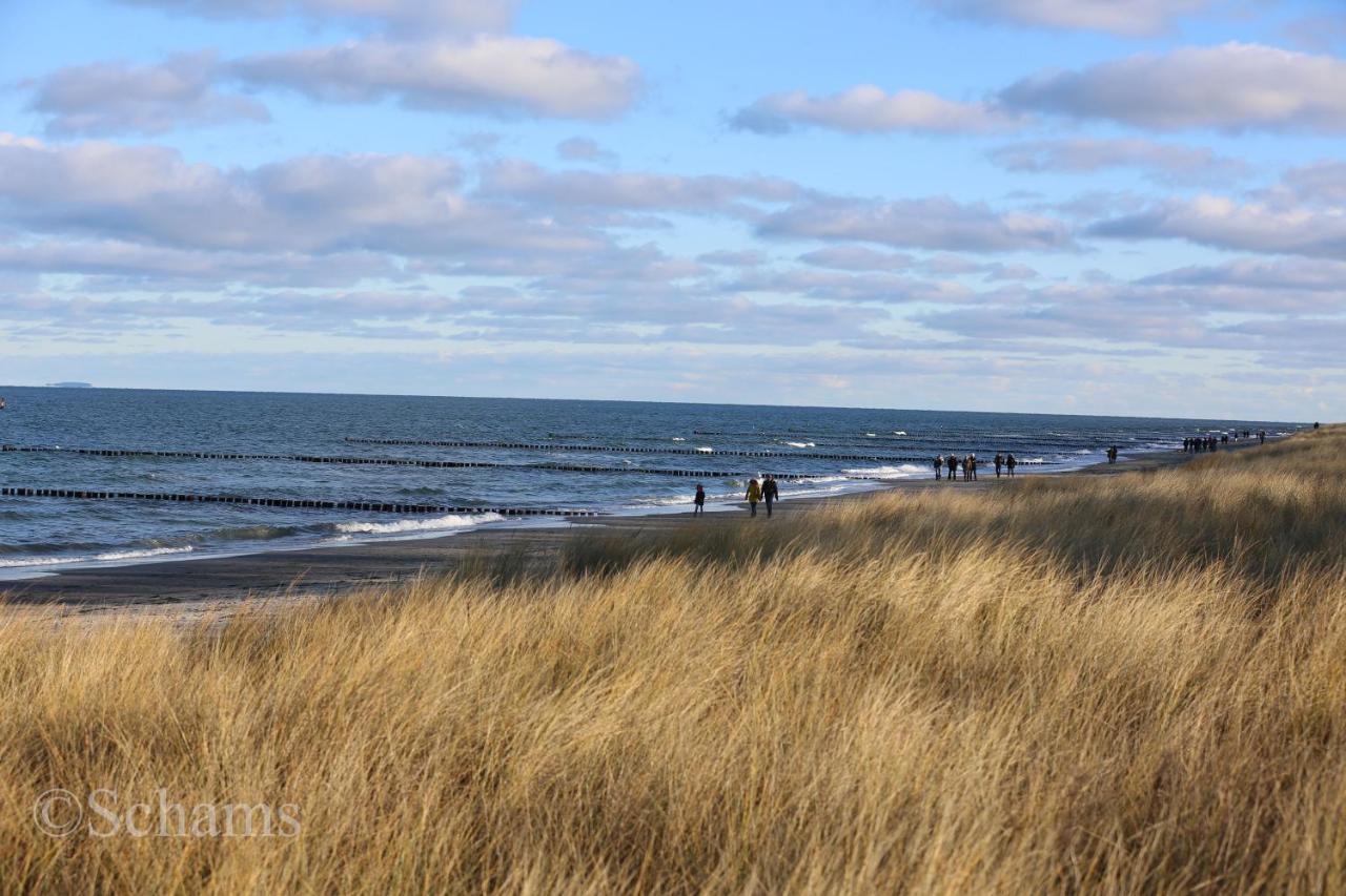 Ostseelagune Zingst, Exklusive Dhh, Strandnah, Sauna, Kamin, 3 Sz, 2 Baeder, Glasfaser, Haustierfrei, Garten Mit Suedterrasse, E-Ladesaeule, 2 Stellplaetze, Strandkorb, Fahrradschuppen, Waschmaschine, Trockner, Nichtraucher エクステリア 写真