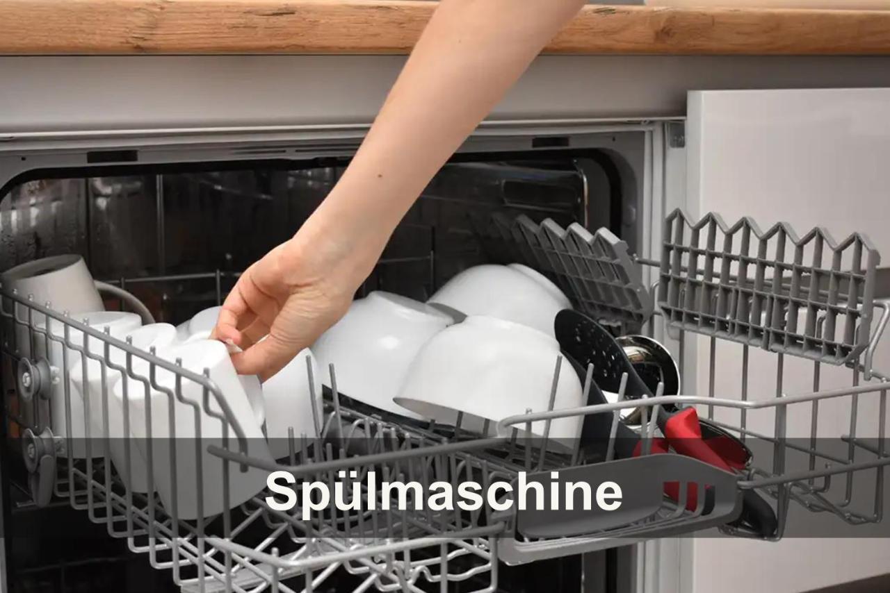 Ostseelagune Zingst, Exklusive Dhh, Strandnah, Sauna, Kamin, 3 Sz, 2 Baeder, Glasfaser, Haustierfrei, Garten Mit Suedterrasse, E-Ladesaeule, 2 Stellplaetze, Strandkorb, Fahrradschuppen, Waschmaschine, Trockner, Nichtraucher エクステリア 写真