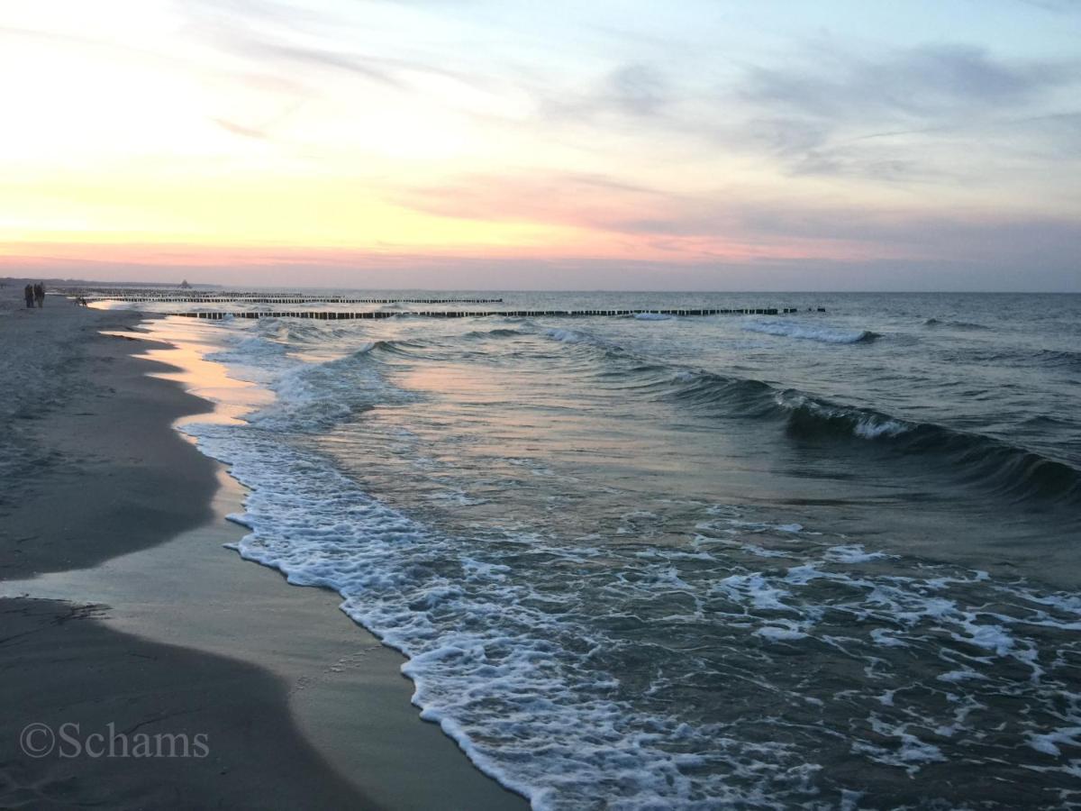 Ostseelagune Zingst, Exklusive Dhh, Strandnah, Sauna, Kamin, 3 Sz, 2 Baeder, Glasfaser, Haustierfrei, Garten Mit Suedterrasse, E-Ladesaeule, 2 Stellplaetze, Strandkorb, Fahrradschuppen, Waschmaschine, Trockner, Nichtraucher エクステリア 写真